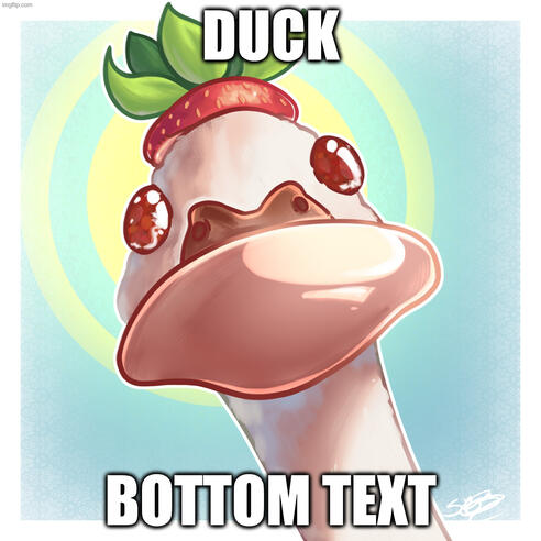 DUCK duck?